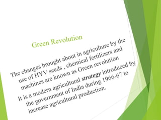 Green rvolution sam
