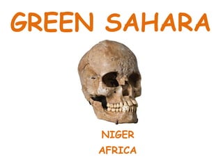 GREEN SAHARA NIGER AFRICA 