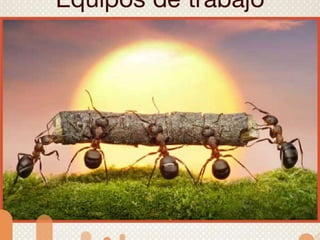 Green schools alliance