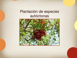 Green schools alliance