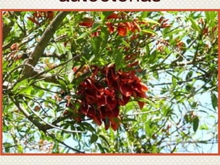 Green schools alliance