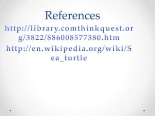 References http://library.comthinkquest.org/3822/886008577380.htmhttp://en.wikipedia.org/wiki/Sea_turtle