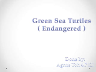 Green Sea Turtles ( Endangered ) Done by: Agnes Toh 4.7 [1] 