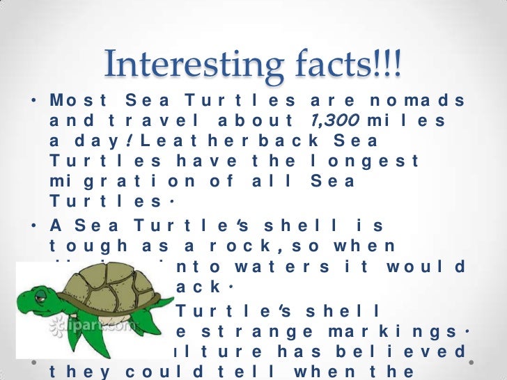 Interesting Facts About Maine For Kids Interesting Facts About Maine For Kids