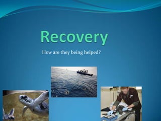 How are they being helped?

 