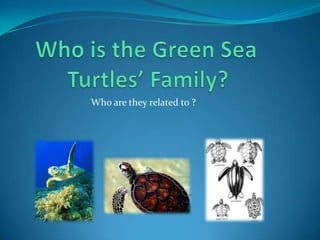 Who are they related to ?

 