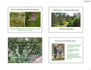 12/3/2018
© Project SOUND
Out of the Wilds and Into Your Garden
Gardening with California Native Plants in Western L.A. County
Project SOUND – 2018 (our 14th year)
© Project SOUND
Evergreen shrubs: their
importance for gardens
and health
C.M. Vadheim, K. Dawdy (and T. Drake)
CSUDH (emeritus), CSUDH & City of Torrance
Madrona Marsh Preserve
December 1 & 6, 2018
2018 Season – Gardens that sooth
© Project SOUND
Gardens that heal
During the 2018 season we’ve:
 Discussed evidence linking good
health and exposure to the
out-of-doors
 Discussed the elements of
outdoor exposure linked to
good health
 Learned how to incorporate
these elements into our
gardens, to make them even
better places to live, enjoy and
de-stress
© Project SOUND
 