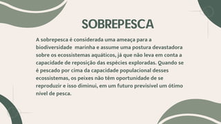 SOBREPESCA
A sobrepesca é considerada uma ameaça para a
biodiversidade marinha e assume uma postura devastadora
sobre os ecossistemas aquáticos, já que não leva em conta a
capacidade de reposição das espécies exploradas. Quando se
é pescado por cima da capacidade populacional desses
ecossistemas, os peixes não têm oportunidade de se
reproduzir e isso diminui, em um futuro previsível um ótimo
nível de pesca.
 