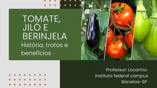 História, tratos e
benefícios
Professor: Locarmo
instituto federal campus
Barretos-SP
TOMATE,
JILÓ E
BERINJELA
 