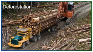 Lorem ipsum dolor sit amet,
consectetuer adipiscing elit.
Maecenas porttitor congue
massa. Fusce posuere
$0
$10,000
$20,000
$30,000
$40,000
$50,000
20XX 20XX 20XX 20XX 20XX
ADD A FOOTER 17
Deforestation
 