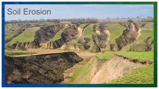 Lorem ipsum dolor sit amet,
consectetuer adipiscing elit.
Maecenas porttitor congue
massa. Fusce posuere
$0
$10,000
$20,000
$30,000
$40,000
$50,000
20XX 20XX 20XX 20XX 20XX
ADD A FOOTER 18
Soil Erosion
 