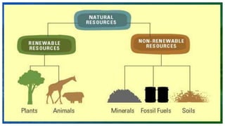 THANK YOU!
Alexander Martensson
Phone
678-555-0143
Email
martensson@example.com
 