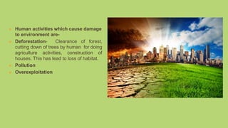  Human activities which cause damage
to environment are-
 Deforestation- Clearance of forest,
cutting down of trees by human for doing
agriculture activities, construction of
houses. This has lead to loss of habitat.
 Pollution
 Overexploitation
 