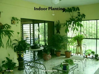 Indoor Planting
3/11/2016 Green Skyscraper 17
 