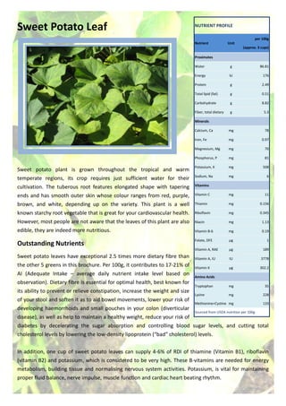 Sweet Potato Leaf
Sweet potato plant is grown throughout the tropical and warm
temperate regions, its crop requires just sufficient water for their
cultivation. The tuberous root features elongated shape with tapering
ends and has smooth outer skin whose colour ranges from red, purple,
brown, and white, depending up on the variety. This plant is a well
known starchy root vegetable that is great for your cardiovascular health.
However, most people are not aware that the leaves of this plant are also
edible, they are indeed more nutritious.
Outstanding Nutrients
Sweet potato leaves have exceptional 2.5 times more dietary fibre than
the other 5 greens in this brochure. Per 100g, it contributes to 17-21% of
AI (Adequate Intake – average daily nutrient intake level based on
observation). Dietary fibre is essential for optimal health, best known for
its ability to prevent or relieve constipation, increase the weight and size
of your stool and soften it as to aid bowel movements, lower your risk of
developing haemorrhoids and small pouches in your colon (diverticular
disease), as well as help to maintain a healthy weight, reduce your risk of
diabetes by decelerating the sugar absorption and controlling blood sugar levels, and cutting total
cholesterol levels by lowering the low-density lipoprotein (“bad” cholesterol) levels.
In addition, one cup of sweet potato leaves can supply 4-6% of RDI of thiamine (Vitamin B1), riboflavin
(vitamin B2) and potassium, which is considered to be very high. These B-vitamins are needed for energy
metabolism, building tissue and normalising nervous system activities. Potassium, is vital for maintaining
proper fluid balance, nerve impulse, muscle function and cardiac heart beating rhythm.
NUTRIENT PROFILE
Nutrient Unit
per 100g
(approx. 3 cups)
Proximates
Water g 86.81
Energy kJ 176
Protein g 2.49
Total lipid (fat) g 0.51
Carbohydrate g 8.82
Fiber, total dietary g 5.3
Minerals
Calcium, Ca mg 78
Iron, Fe mg 0.97
Magnesium, Mg mg 70
Phosphorus, P mg 81
Potassium, K mg 508
Sodium, Na mg 6
Vitamins
Vitamin C mg 11
Thiamin mg 0.156
Riboflavin mg 0.345
Niacin mg 1.13
Vitamin B-6 mg 0.19
Folate, DFE µg 1
Vitamin A, RAE µg 189
Vitamin A, IU IU 3778
Vitamin K µg 302.2
Amino Acids
Tryptophan mg 35
Lysine mg 228
Methionine+Cystine mg 133
Sourced from USDA nutrition per 100g
 