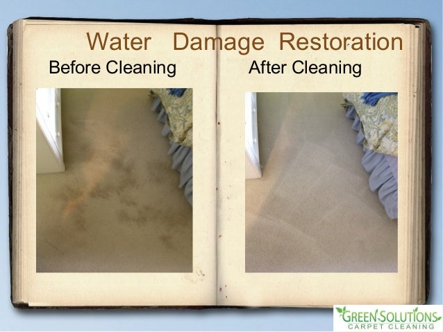 Carpet Rug Cleaning Service - 웹