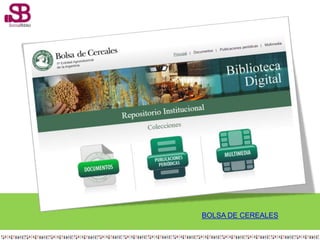 BOLSA DE CEREALES
 