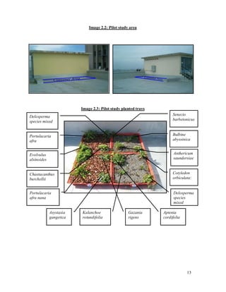 Image 2.2: Pilot study area




                         Image 2.3: Pilot study planted trays
Delosperma                                                           Senecio
species mixed                                                        barbetonicus



Portulacaria                                                         Bulbine
afra                                                                 abyssinica


Evolvulus                                                             Anthericum
alsinoides                                                            saundersiae


Chaetacanthus                                                        Cotyledon
burchellii                                                           orbiculata:


Portulacaria                                                          Delosperma
afra nana                                                             species
                                                                      mixed

             Asystasia   Kalanchoe                 Gazania      Aptenia
             gangetica   rotundifolia              rigens       cordifolia




                                                                             13
 