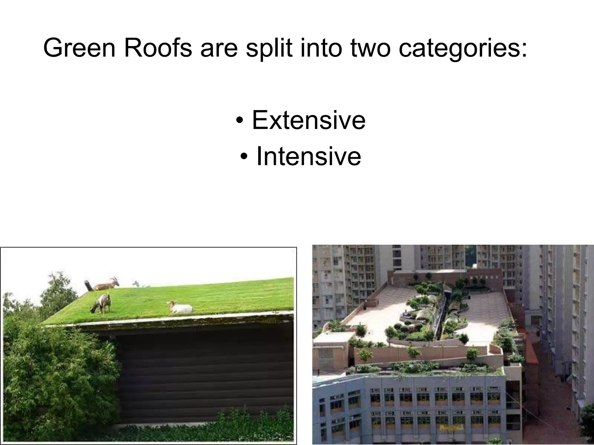 Green Roofs are split into two categories: Extensive Intensive 