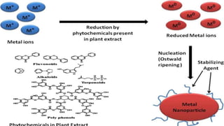 green synthesis of metal and their oxide nanoparticles-2.pptx