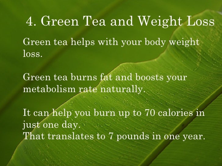 Diet pills argumentative essay photo 4