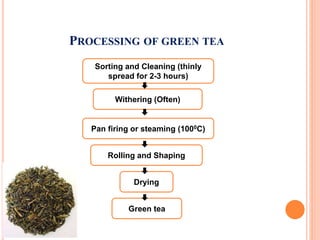 Green Tea and Health.pptx