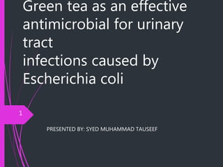 Green tea as an effective
antimicrobial for urinary
tract
infections caused by
Escherichia coli
PRESENTED BY: SYED MUHAMMAD TAUSEEF
1
 