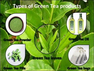 Green tea cosmetology