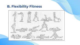 B. Flexibility Fitness
 