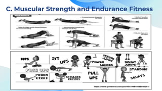 C. Muscular Strength and Endurance Fitness
 