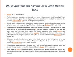 WHAT ARE THE IMPORTANT JAPANESE GREEN
TEAS
 Sencha (煎茶?, decocted tea)
 The first and second flushes of green tea made from leaves that are exposed directly to sunlight. This is
the most common green tea in Japan. The name describes the method for preparing the
beverage.Fukamushicha (ja) (深蒸し茶?, long-steamed green tea)
 Sencha, which, in the processing of the leaves, has been steamed two times longer than usual Sencha,
giving it a deeper color and producing a fuller flavor in the beverage.Gyokuro (玉露?, Jade Dew)
 Gyokuro is a fine and expensive type that differs from Sencha (煎茶) in that it is grown under the shade
rather than the full sun for approximately 20 days.[6] The name "Gyokuro" translates as "jade dew" and
refers to the pale green color of the infusion. The shading causes the amino acids (Theanine) and
caffeine in the tea leaves to increase, while catechins (the source of bitterness in tea, along with
caffeine) decreases, giving rise to a sweet taste.[7] The tea also has a distinct aroma.Kabusecha (冠茶?,
covered tea)
 Kabusecha is made from the leaves grown in the shade prior to harvest, although not for as long
as Gyokuro. It has a more delicate flavor than Sencha. It is sometimes marketed as
Gyokuro.Tamaryokucha (玉緑茶?, lit. ball green tea)
 Tamaryokucha has a tangy, berry-like taste, with a long almondy after-taste and a deep aroma with
tones of citrus, grass, and berries. It is also called Guricha.Bancha (番茶?, coarse tea)
 Lower grade of Sencha harvested as a third- or fourth-flush tea between summer and autumn. Aki-
Bancha (autumn Bancha) is not made from entire leaves, but from the trimmed unnecessary twigs of the
tea plant.
 