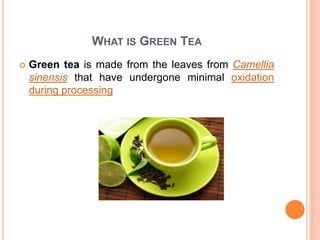 WHAT IS GREEN TEA
 Green tea is made from the leaves from Camellia
sinensis that have undergone minimal oxidation
during processing
 
