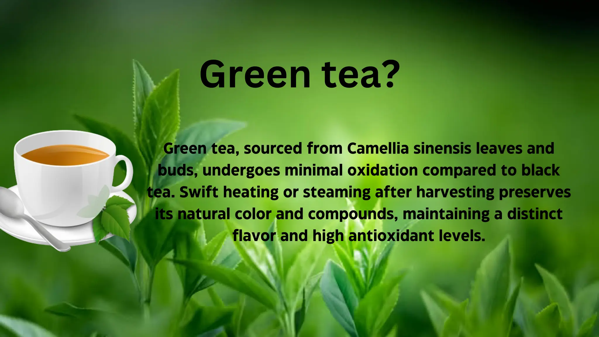 Green tea Presentation pptx.pdf