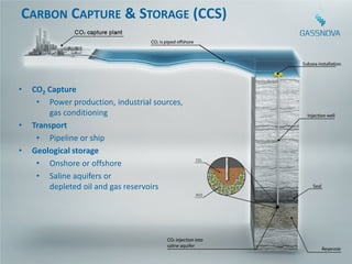 CARBON CAPTURE & STORAGE (CCS)



•   CO2 Capture
     • Power production, industrial sources,
        gas conditioning
•   Transport
     • Pipeline or ship
•   Geological storage
     • Onshore or offshore
     • Saline aquifers or
        depleted oil and gas reservoirs




                                               14
 