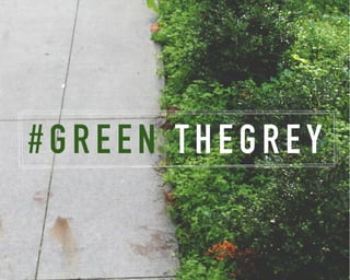 # G R E E N T H E G R E Y 
 