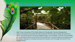 Jade Tulum Hotel – Tulum Beach – Mexico
• Jade Tulum is Awarded GTA Initiate Status for Sustainable Tourism Management.
• Jade is a boutique eco-concience hotel conceived with the idea of being surrounded by
nature and art and built in the local traditional style, in the treetops. This has many benefits;
the rooms blend into the environment, they benefit from cool sea breezes and guests have
the unique experience of seeing sunrises and sunsets over the jungle and sea from the
outside terrace.
 