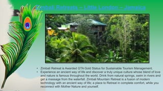 Zimbali Retreats – Little London – Jamaica
• Zimbali Retreat is Awarded GTA Gold Status for Sustainable Tourism Management.
• Experience an ancient way of life and discover a truly unique culture whose blend of love
and nature is famous throughout the world. Drink from natural springs, swim in rivers and
get a massage from the waterfall. Zimbali Mountain Retreat is a fusion of modern
technology with an ancient way of life; a place to Retreat in complete comfort, while you
reconnect with Mother Nature and yourself.
 