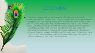 COLOMBIA
 Colombia is facing significant environmental risks. At the current rate of
deforestation, experts estimate that Colombia's jungles will completely disappear
by the year 2050. The logging, mining, gold, and emerald trade, as well as the
illicit coca trade, has caused massive deforestation at a rate of 1.5 to 2 million
acres a year. Mountain scraping for farming has caused previously forested and
vegetated areas to turn into semi-arid desert zones, and road and home
construction in rural areas is threatening the country's biodiversity. In addition,
improperly disposed sewage, pesticides, and herbicides have contaminated many
of the country's rivers and lakes, making the water undrinkable. Factory and car
pollution continues to be a major problem in cities.
 