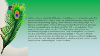  Yet Peru is losing nearly 300,000 hectares (740,000 acres) of rainforest annually. The
primary threats to Peru's tropical forests are deforestation caused by agricultural
expansion, cattle ranching, logging, oil extraction and spills, mining, illegal coca
farming, and colonization initiatives. Deforestation has shrunk territories belonging
to indigenous peoples and wiped out more than 90% of the population. (There
were once some six million people, 2,000 tribes and/or ethnic groups, and
innumerable languages in the Amazon basin; today the indigenous population is
less than two million.) Jungle ecotourism has exploded in Peru, and rainforest
regions are now much more accessible than they once were, with more lodges and
eco-options than ever. Many are taking leading roles in sustainable tourism even as
they introduce protected regions to more travelers.
 