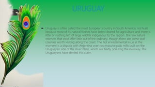 URUGUAY
 Uruguay is often called the most European country in South America, not least
because most of its natural forests have been cleared for agriculture and there is
little or nothing left of large wildlife indigenous to the region. The few nature
reserves that exist offer little out of the ordinary, though there are some seal
colonies worth visiting along the coast. The hot environmental issue at the
moment is a dispute with Argentina over two massive pulp mills built on the
Uruguayan side of the River Plate, which are badly polluting the riverway. The
Uruguayans have denied this claim.
 