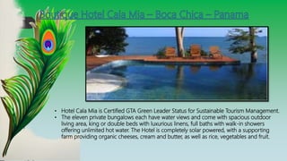 • Hotel Cala Mia is Certified GTA Green Leader Status for Sustainable Tourism Management.
• The eleven private bungalows each have water views and come with spacious outdoor
living area, king or double beds with luxurious linens, full baths with walk-in showers
offering unlimited hot water. The Hotel is completely solar powered, with a supporting
farm providing organic cheeses, cream and butter, as well as rice, vegetables and fruit.
 