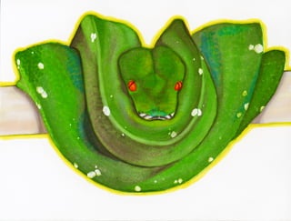 Green tree python illustration | PPT