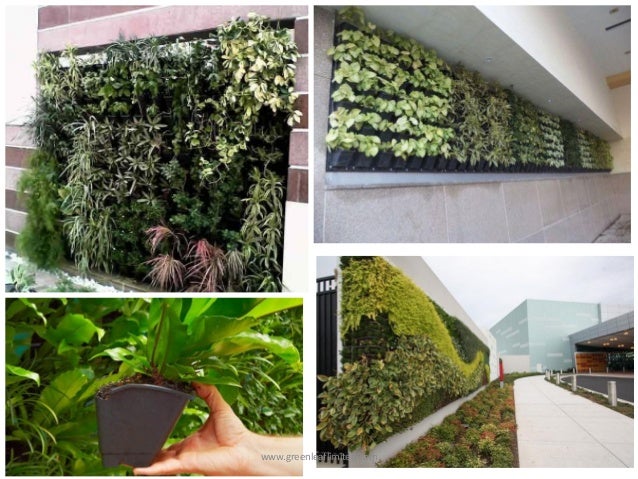 Green Wall Or Vertical Garden