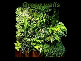 Green walls 