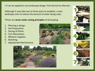 • It can be applied to any landscape design, from formal to informal.
•Although it may take two to three years to establish, a xeric
landscape aims to reduce the amount of water being used.
•There are seven water-saving principles of xeriscaping.
1. Planning a design.
2. Soil Preparation.
3. Zoning of Plants.
4. Turf Alternatives.
5. Efficient Irrigation.
6. Mulching.
7. Appropriate Maintenance.
 