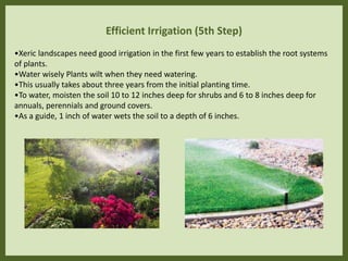 Efficient Irrigation (5th Step)
•Xeric landscapes need good irrigation in the first few years to establish the root systems
of plants.
•Water wisely Plants wilt when they need watering.
•This usually takes about three years from the initial planting time.
•To water, moisten the soil 10 to 12 inches deep for shrubs and 6 to 8 inches deep for
annuals, perennials and ground covers.
•As a guide, 1 inch of water wets the soil to a depth of 6 inches.
 