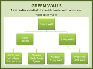 GREEN WALLS
A green wall is a vertical built structure intentionally covered by vegetation.
DIFFERENT TYPES
 
