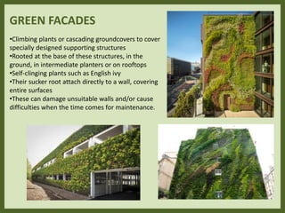 GREEN FACADES
•Climbing plants or cascading groundcovers to cover
specially designed supporting structures
•Rooted at the base of these structures, in the
ground, in intermediate planters or on rooftops
•Self-clinging plants such as English ivy
•Their sucker root attach directly to a wall, covering
entire surfaces
•These can damage unsuitable walls and/or cause
difficulties when the time comes for maintenance.
 