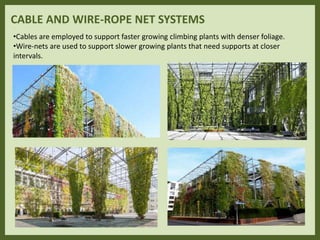 CABLE AND WIRE-ROPE NET SYSTEMS
•Cables are employed to support faster growing climbing plants with denser foliage.
•Wire-nets are used to support slower growing plants that need supports at closer
intervals.
 