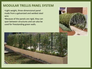 MODULAR TRELLIS PANEL SYSTEM
•Light weight, three-dimensional panel
made from a galvanized and welded steel
wire
•Because of the panels are rigid, they can
span between structures and can also be
used for freestanding green walls.
 